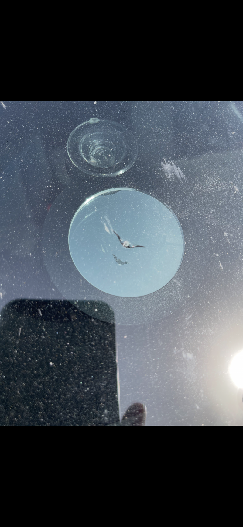 Before repair